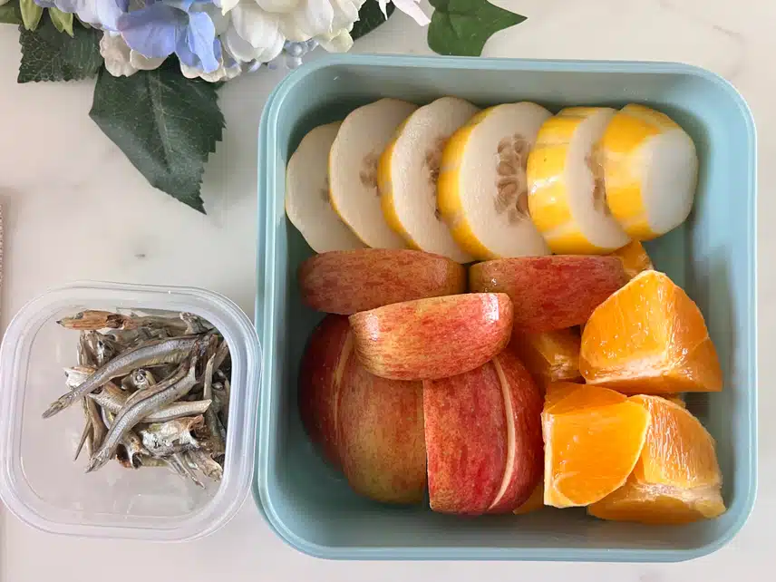 🍱등산 과일 도시락🍎 🍊