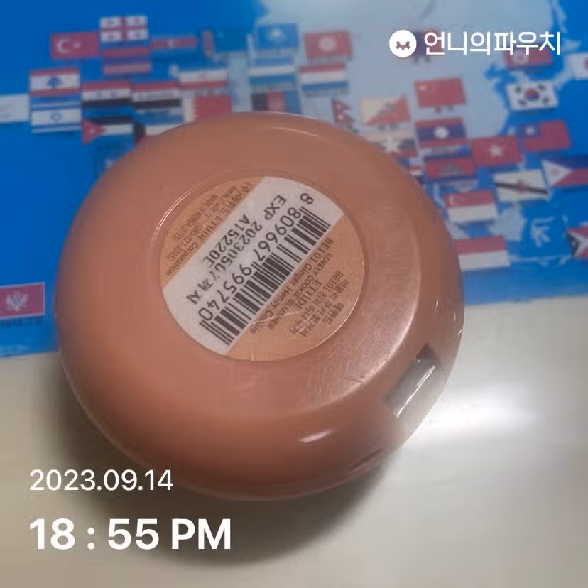 에뛰드 라블리 쿠키 브러셔