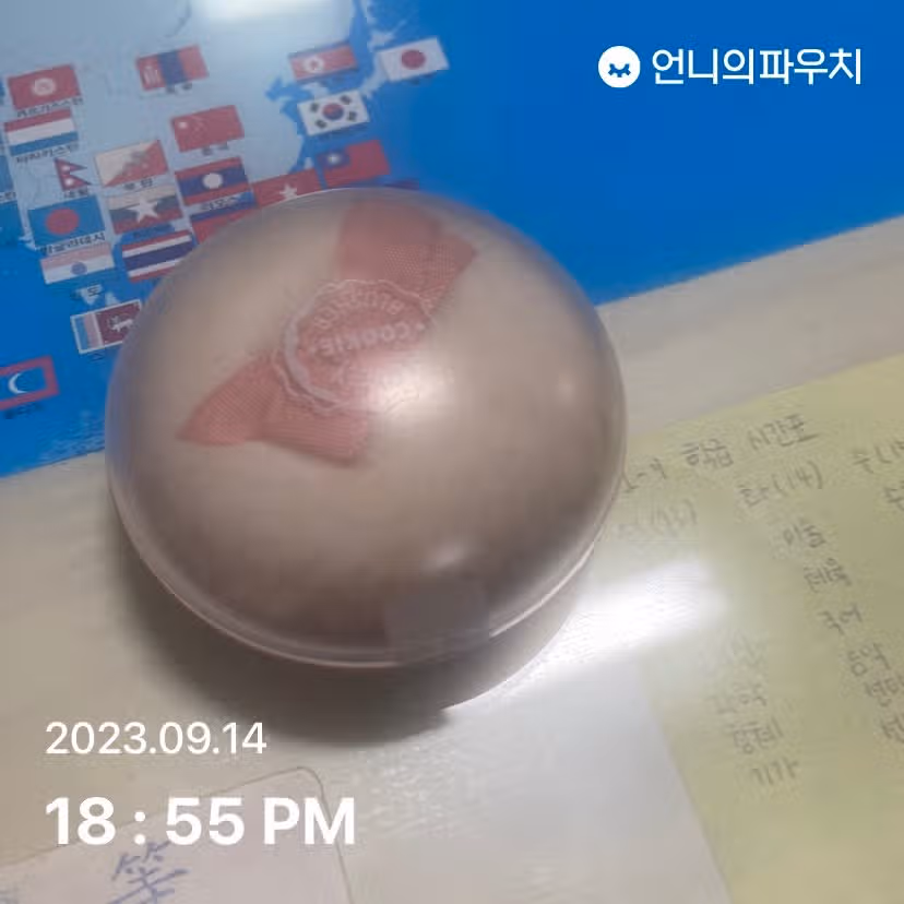 에뛰드 라블리 쿠키 브러셔