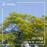 board-img