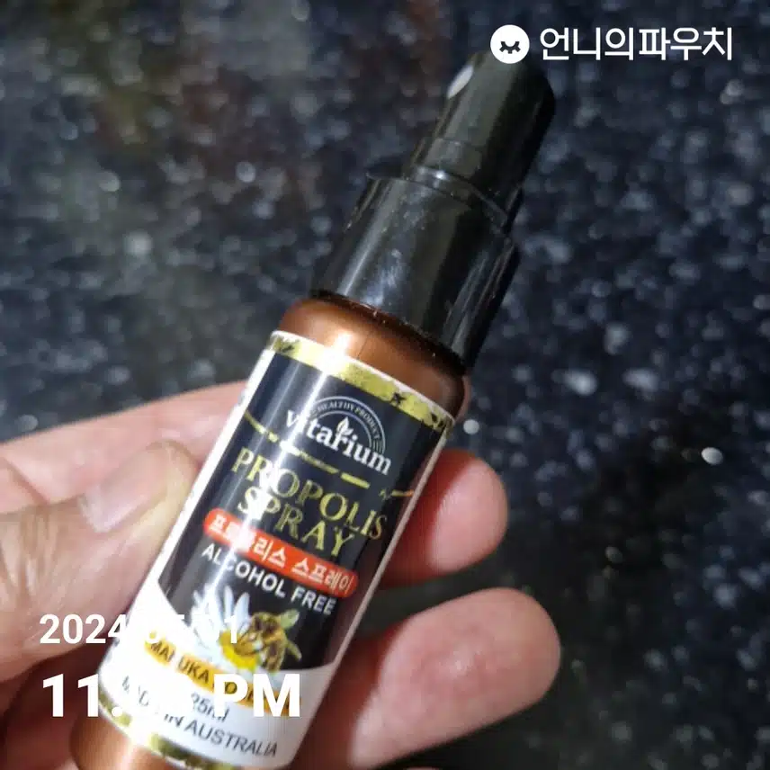 프로폴리스 