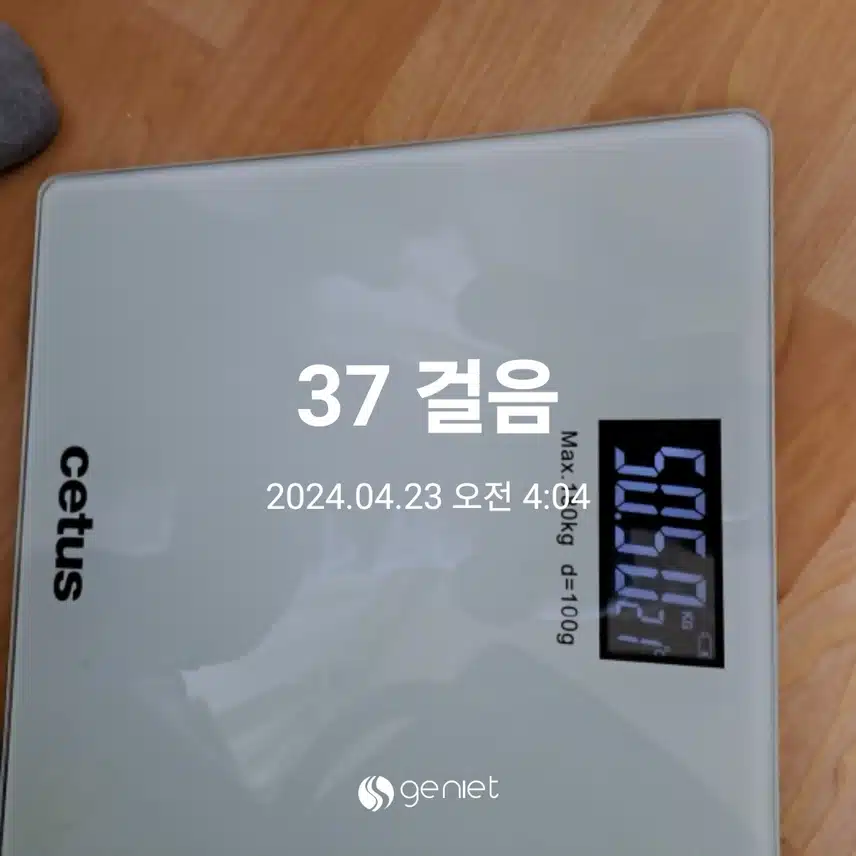 다이어트 비포.애프터