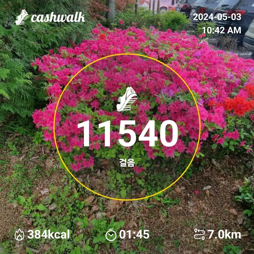 오늘도 걷기~^^