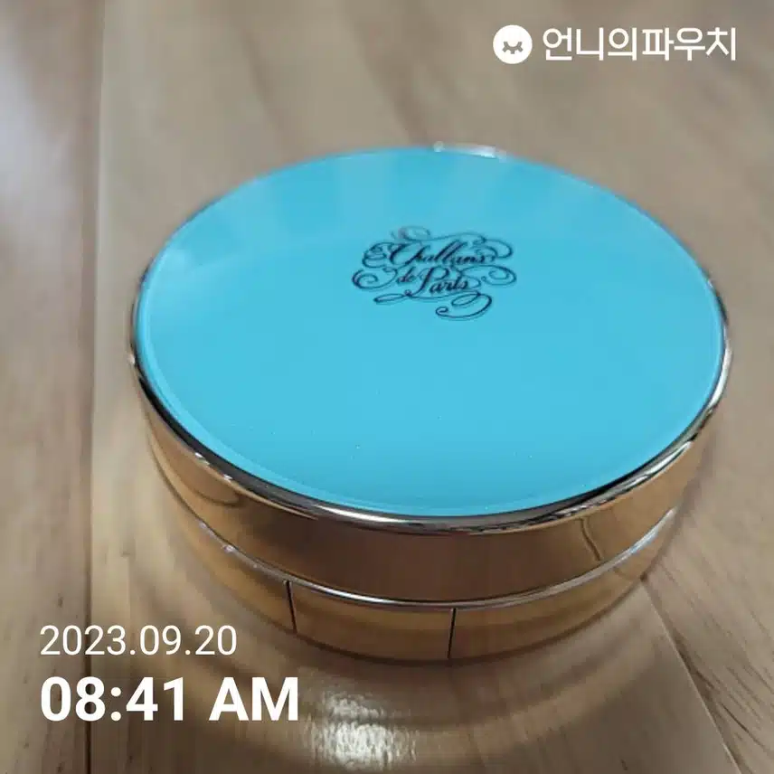 살랑 드 파리 쿠션