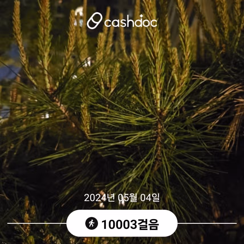 오늘 만보걷기 완료 