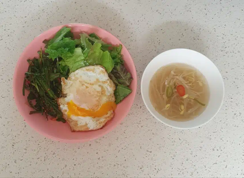 점심 야채비빔밥