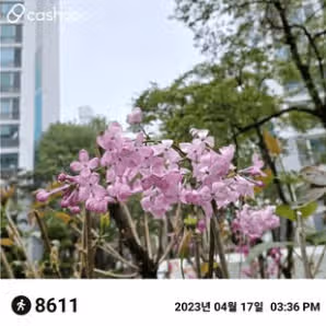 우리동네 챌린지