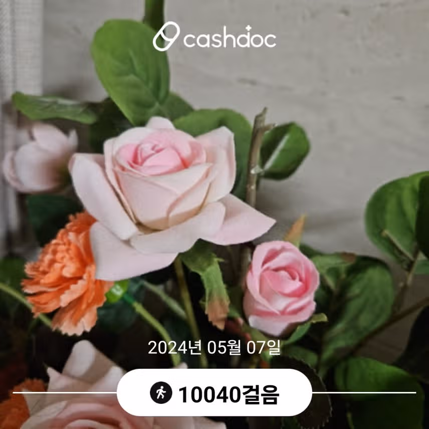 화요일 만보걷기