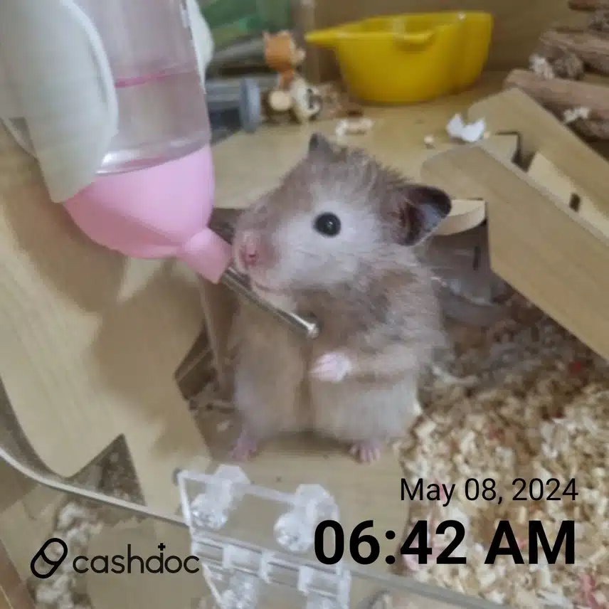 5/8일 건강목표 세우기