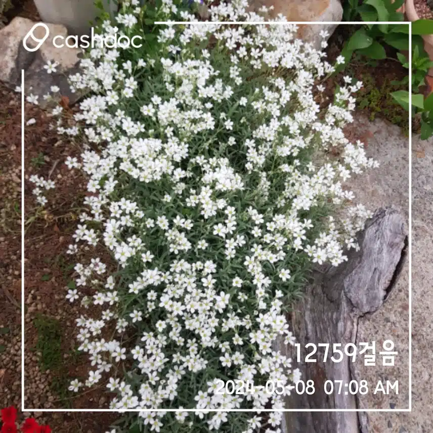 8일 건강목표
