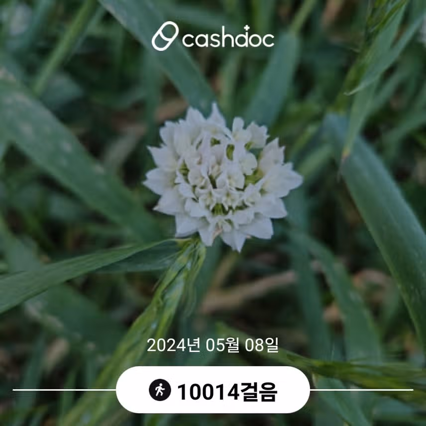 수요일 건강목표