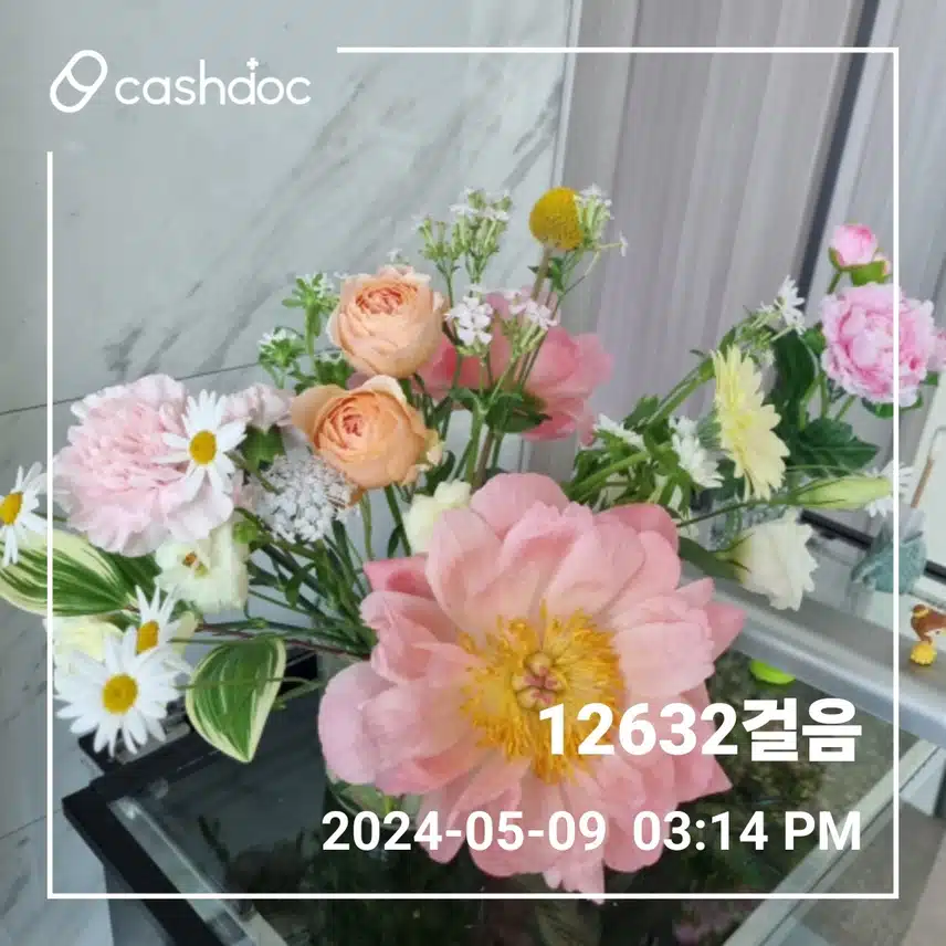 오늘도 만보 