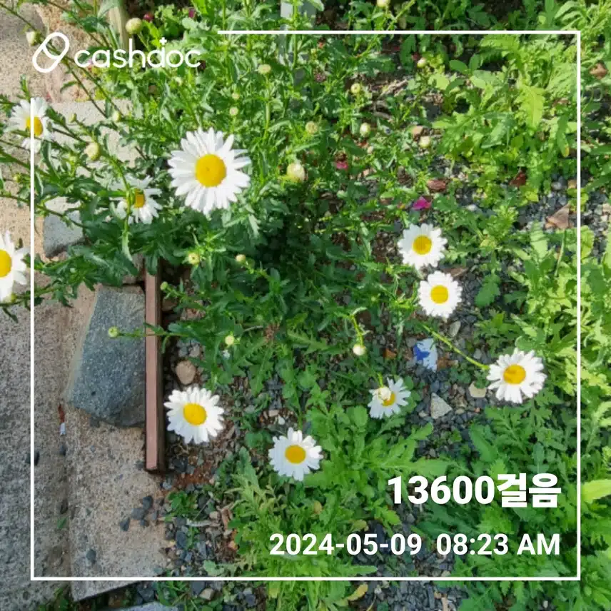 오늘도 건강하게 걷기~^^