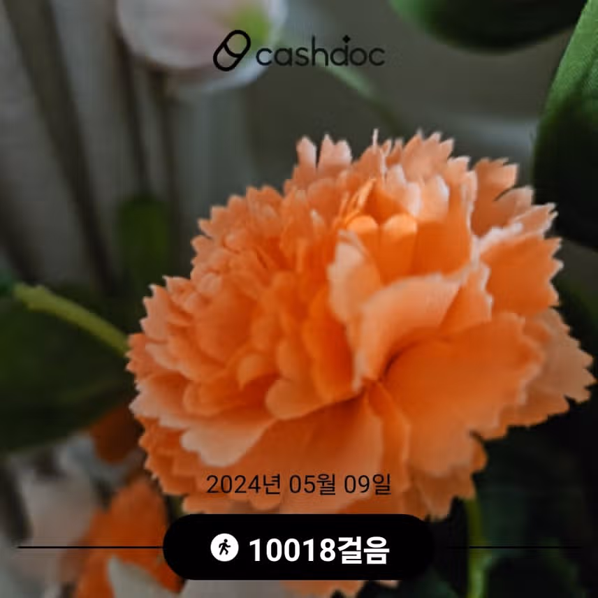 건강 목표 두번째
