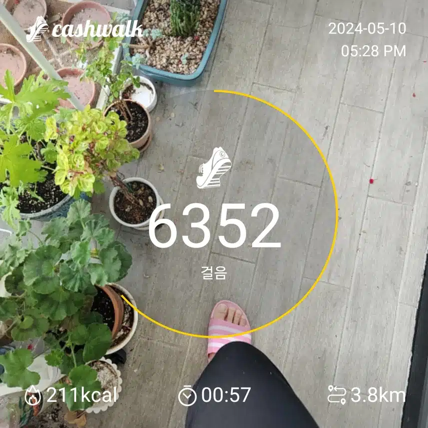 1일차인증