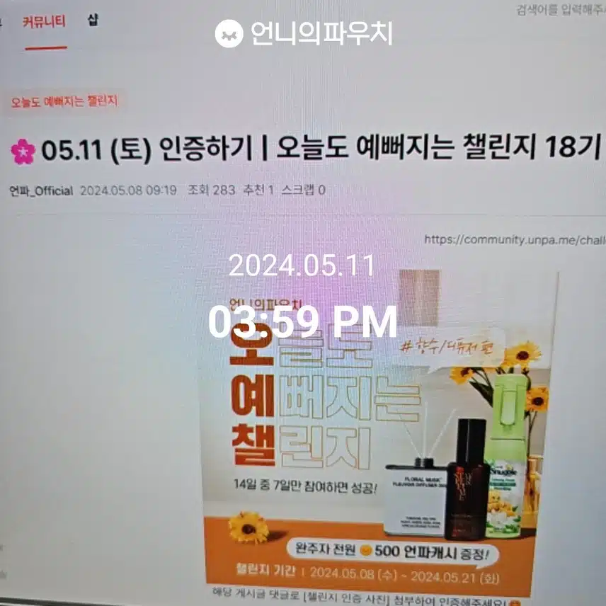 2024년 5월 11일 토요일 퍼품미스트 (3일차)