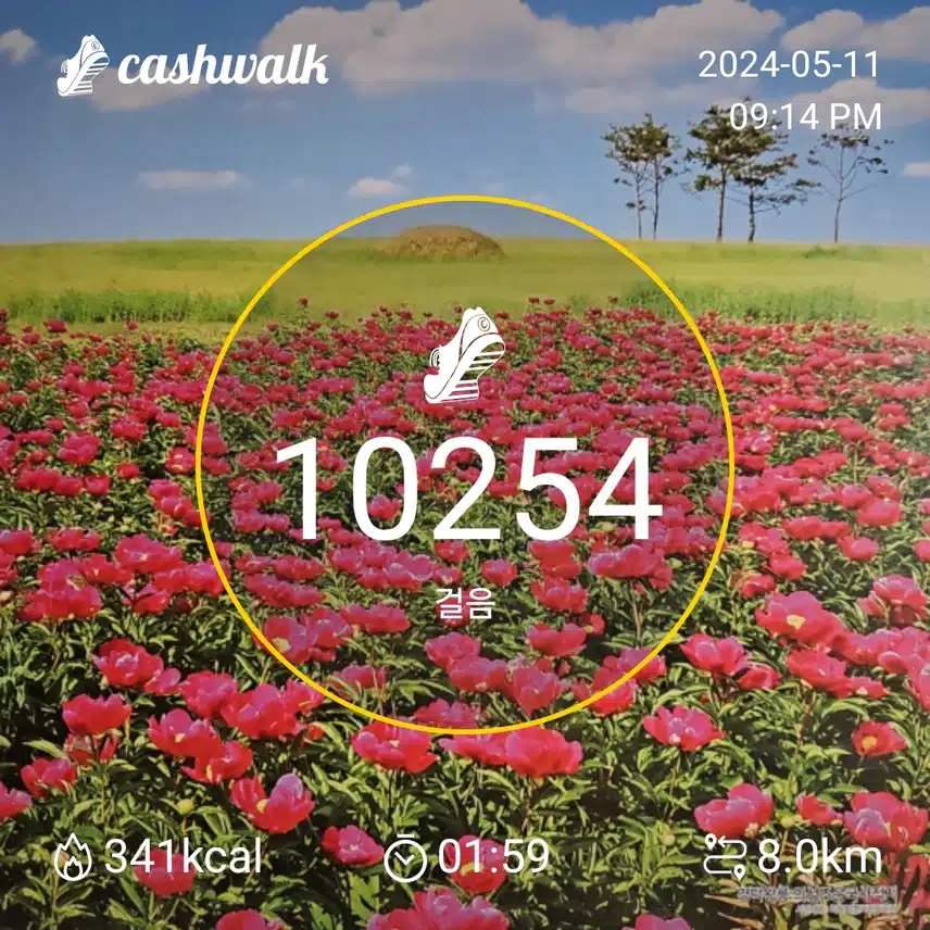 3일차