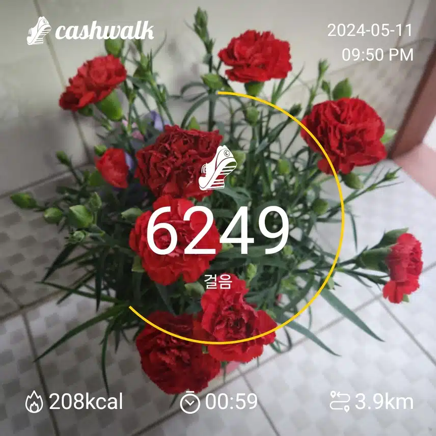 6천보걷기 3일차