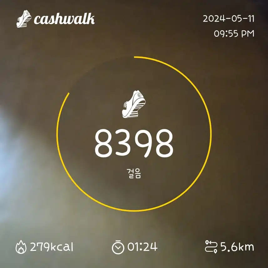 3일차