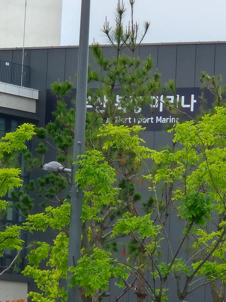 북항마리나