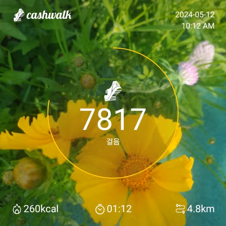 3일차 