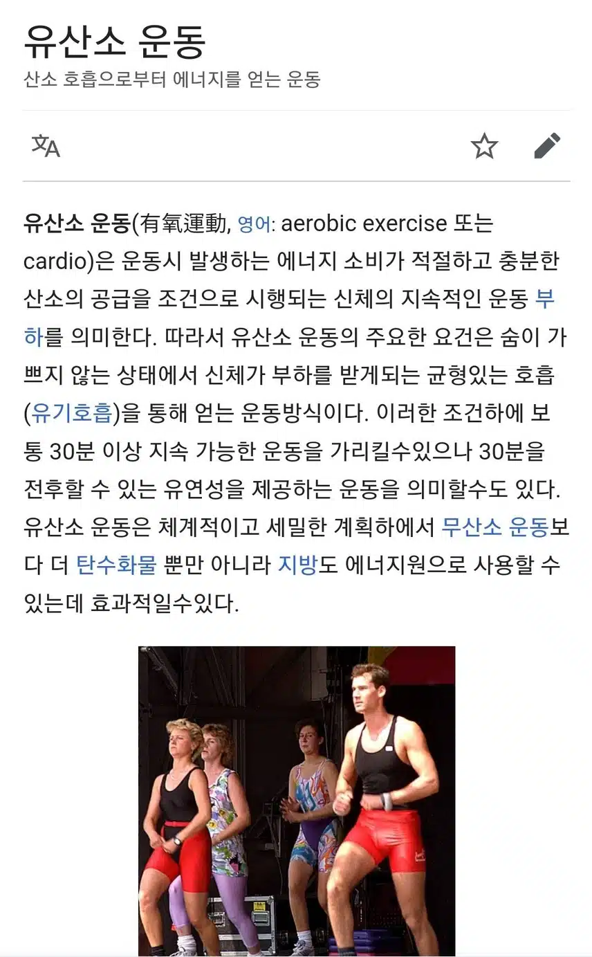 나의 유산소운동 요가
