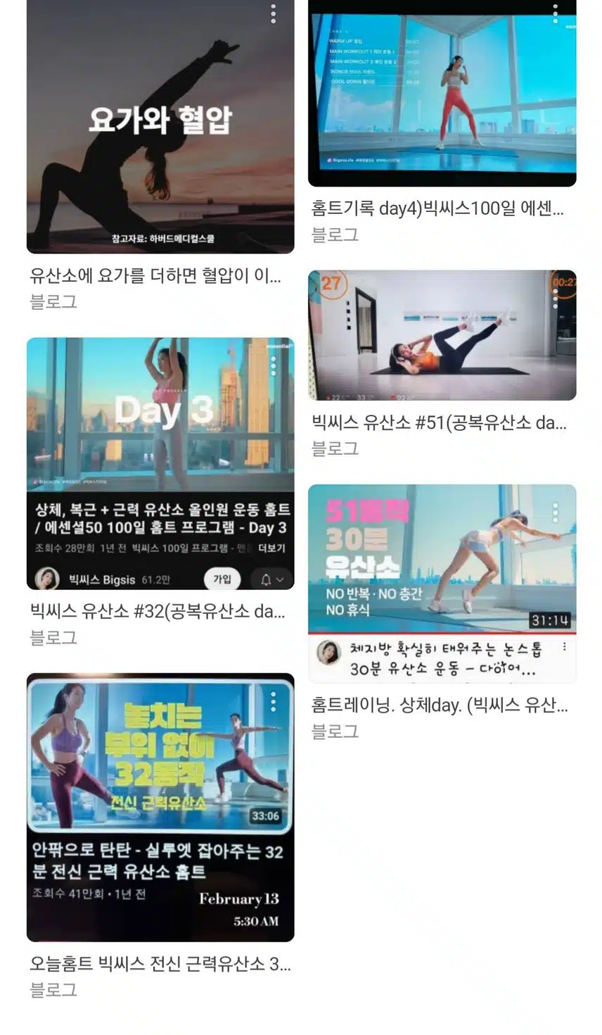 나의 유산소운동 요가