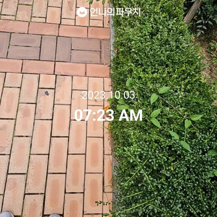 오늘은 산책 다녀왔어요