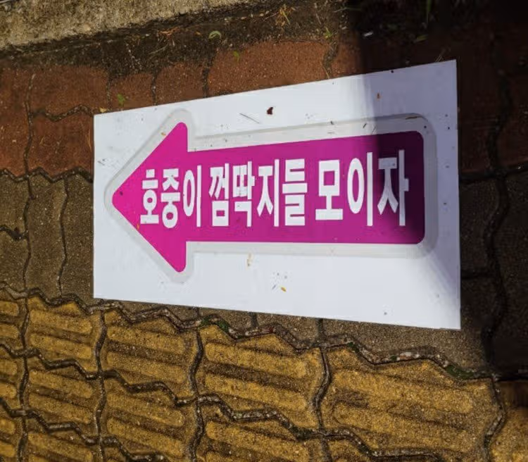 김호중 가수 트바로티아레나투어2024 고양콘서트 팬들을 위한 배려 돋보였어요