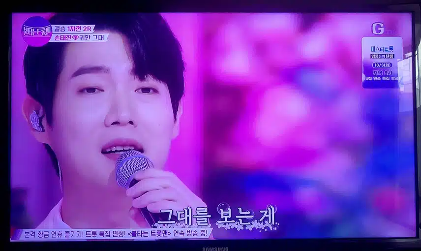 시청인증합니다