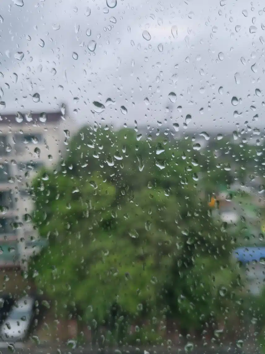 비가 많이 와요~ 거긴 어때요?