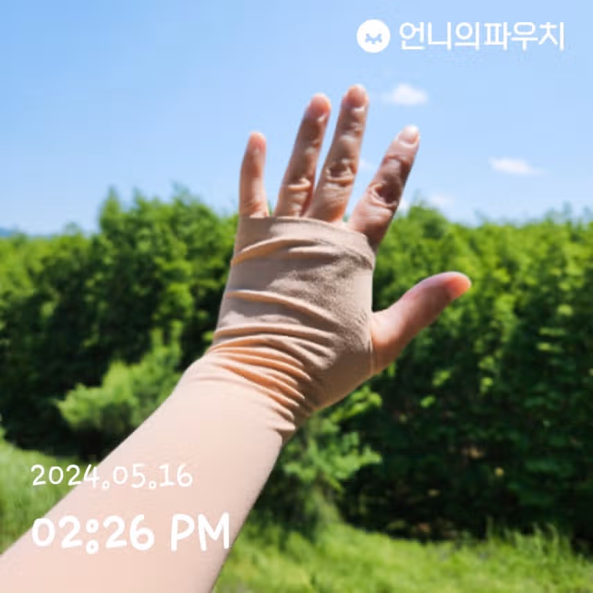 팔토시