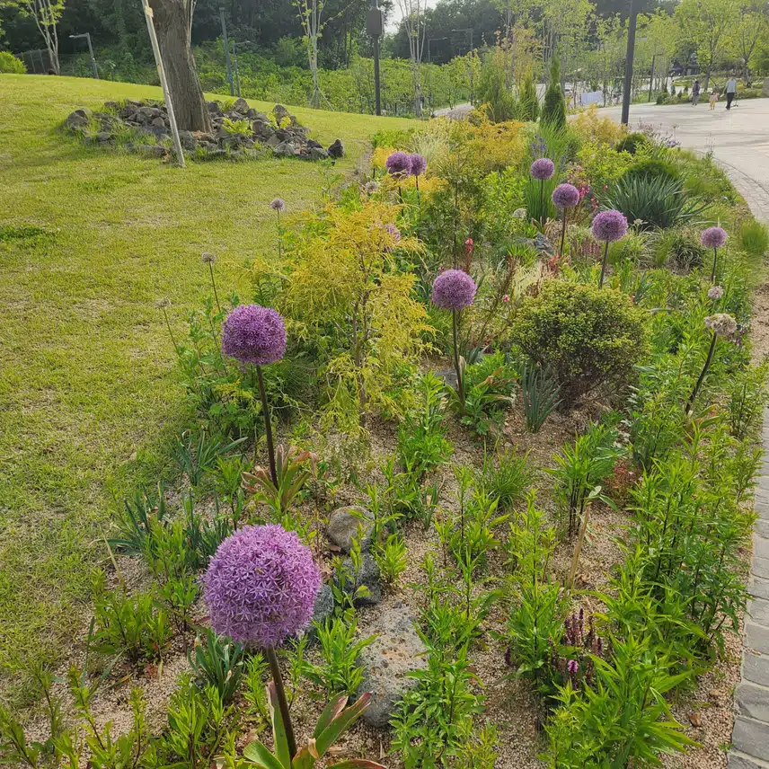 수원영흥공원