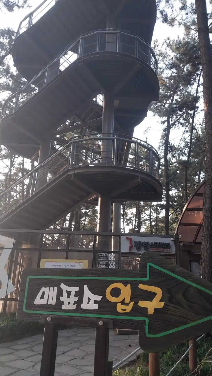 장항송림스카이워크