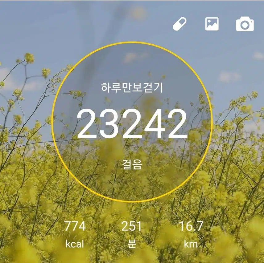 이만보