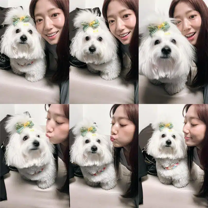 박신혜 인스타 속 강아지와 투샷🩷
