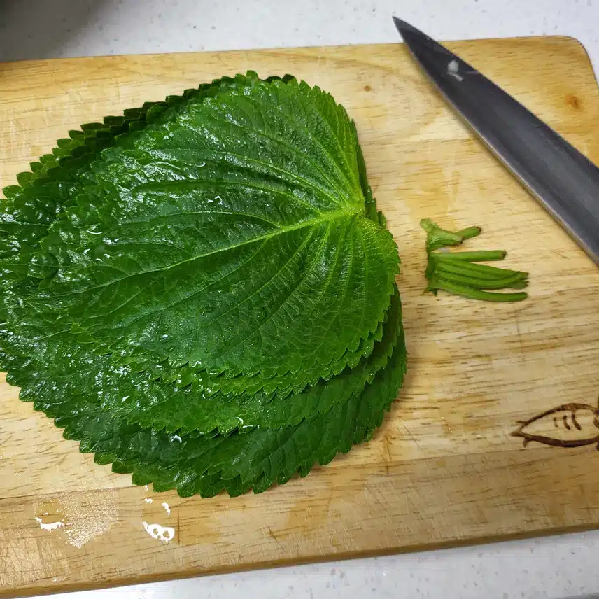 짜지 않게 만든 저당 깻잎 장아치
