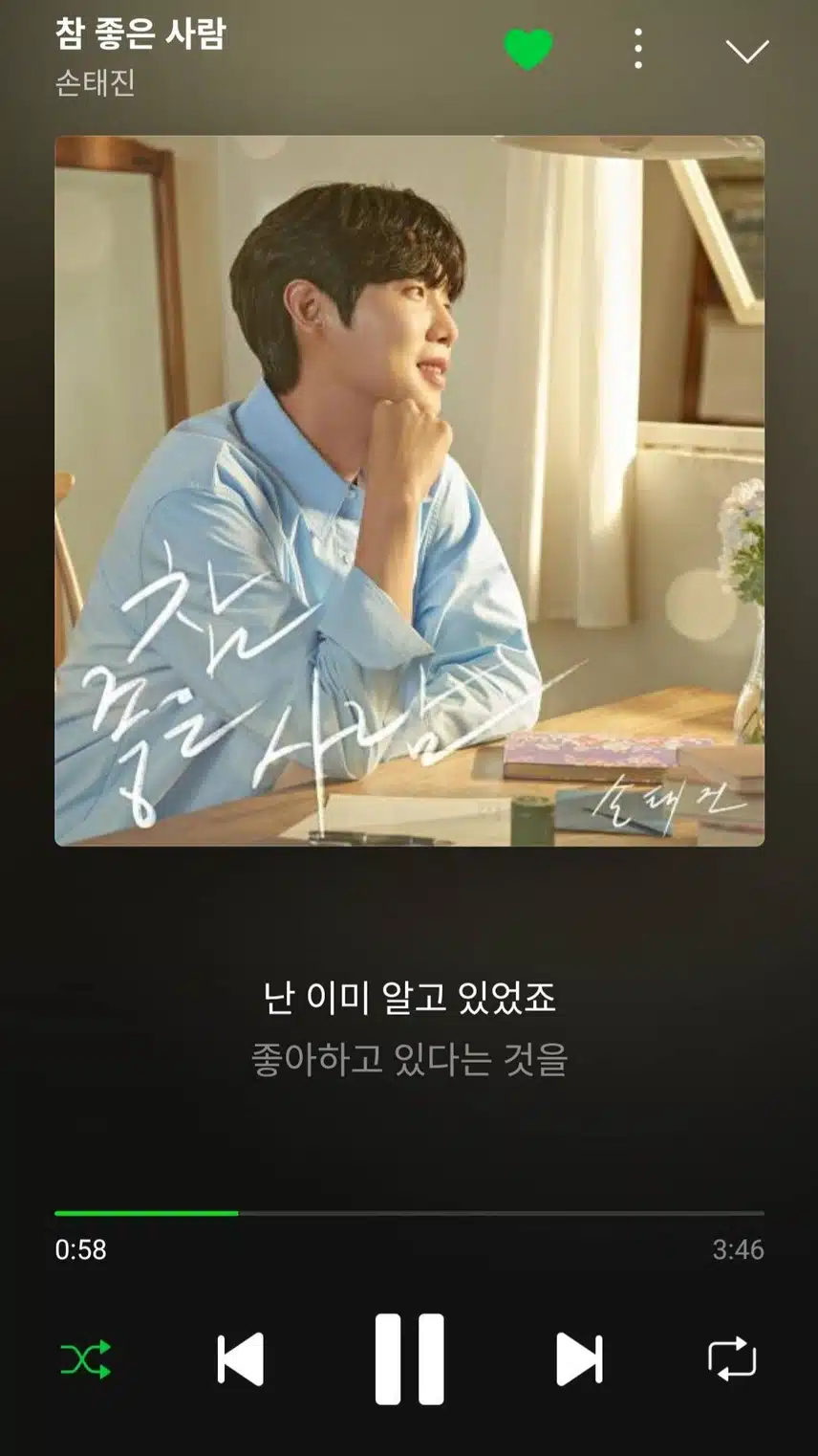 손태진님의 
