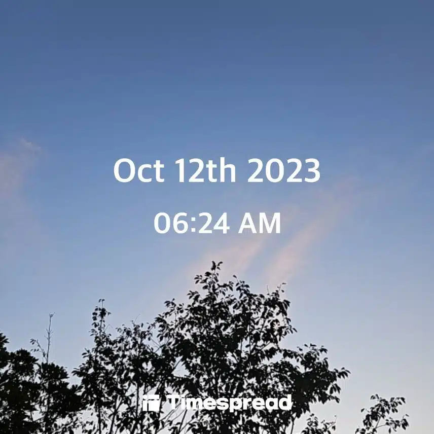 10월 12일 산책