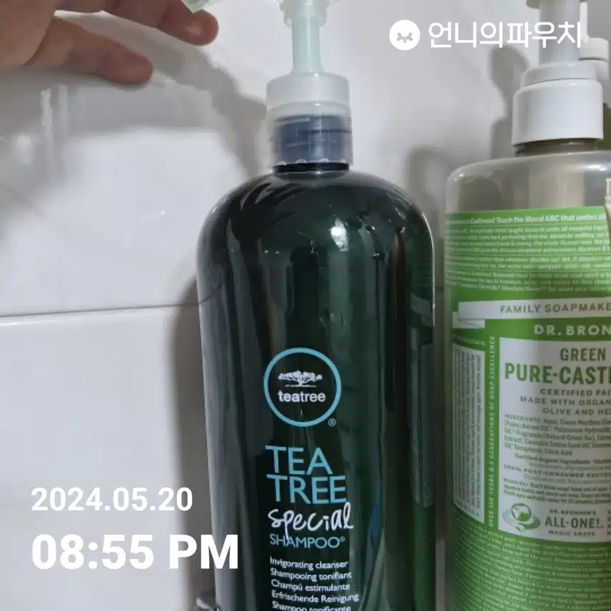 티트리샴프 