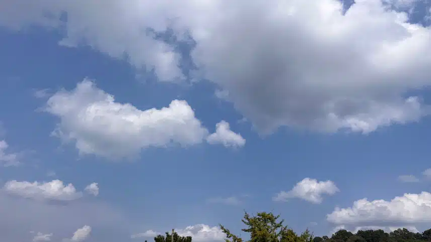 🌸등산가다 코스모스에 납치