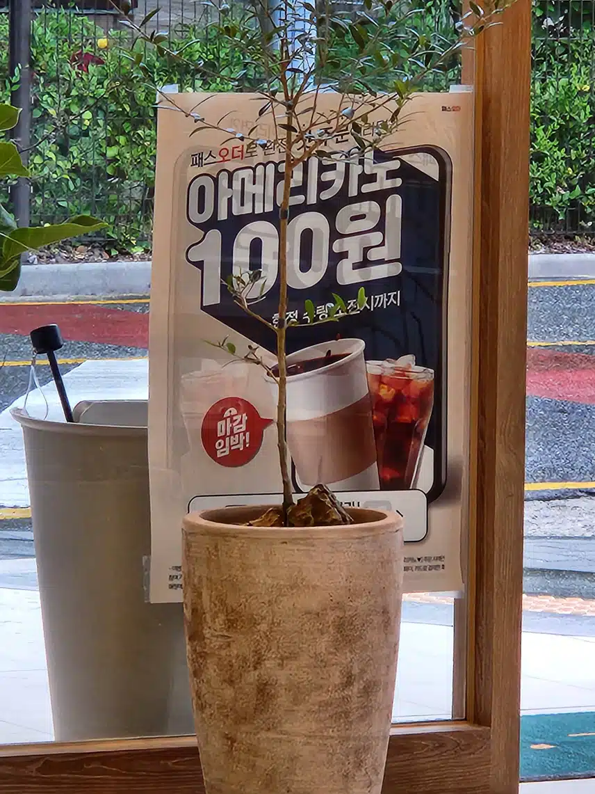모닝커피 