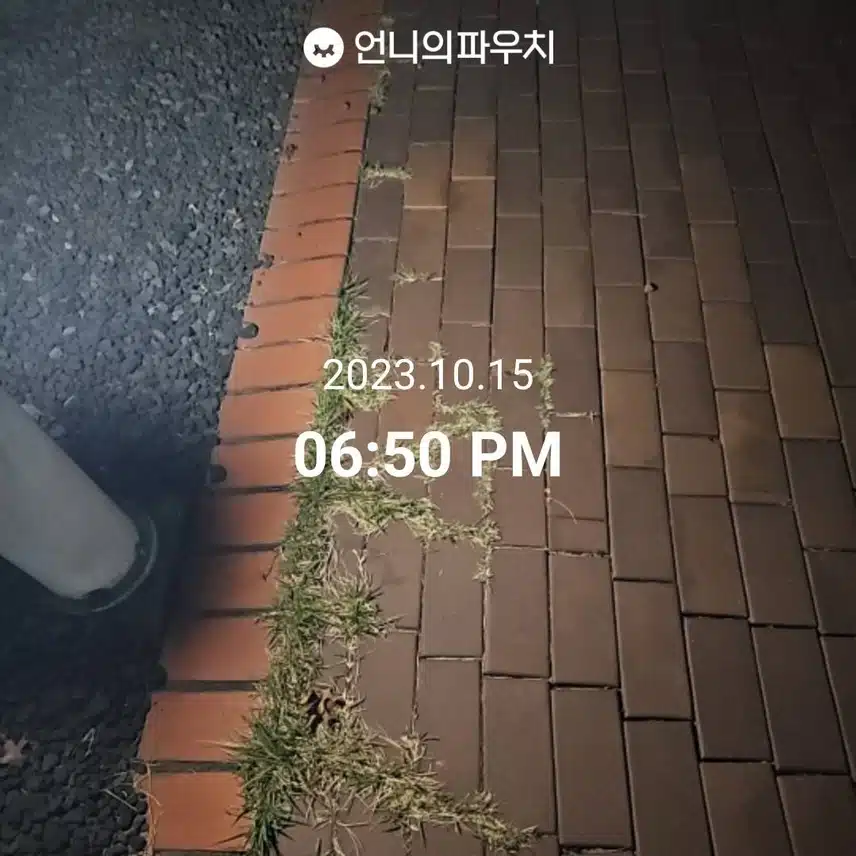 걷기도 했고 산책도 했어요