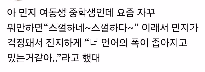 동생이 자꾸 밈 써서 뭐라했다는 뉴진스 민지🥹