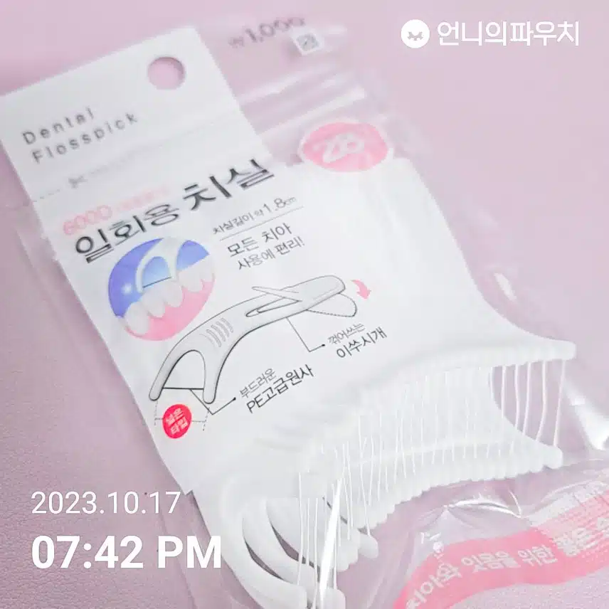 다이소 일회용 치실 