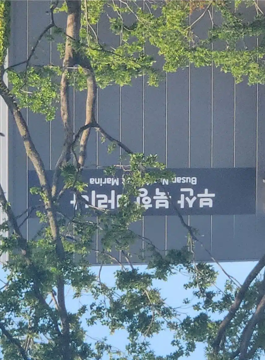 북항마리나 