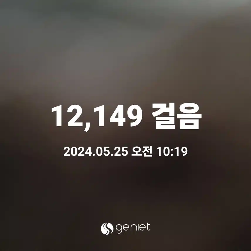 지니어트  육챌 인증샷 