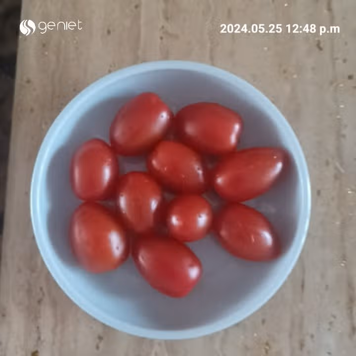 대추방울토마토