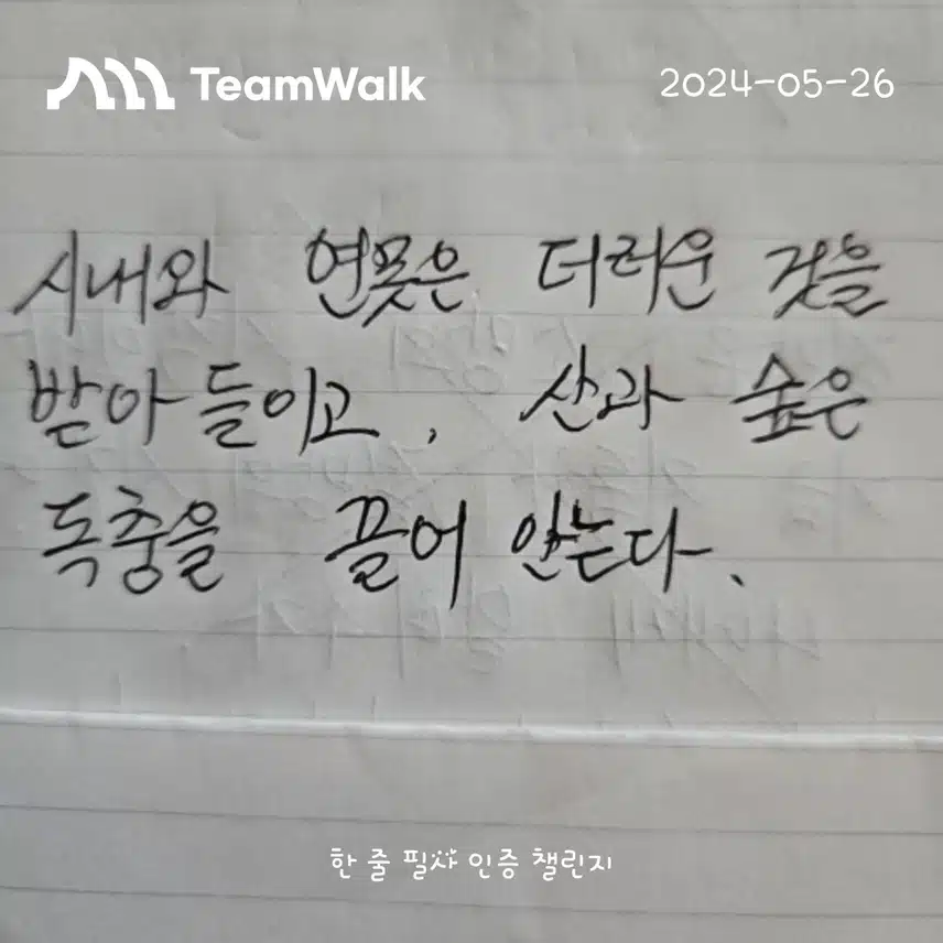 11일차 인증