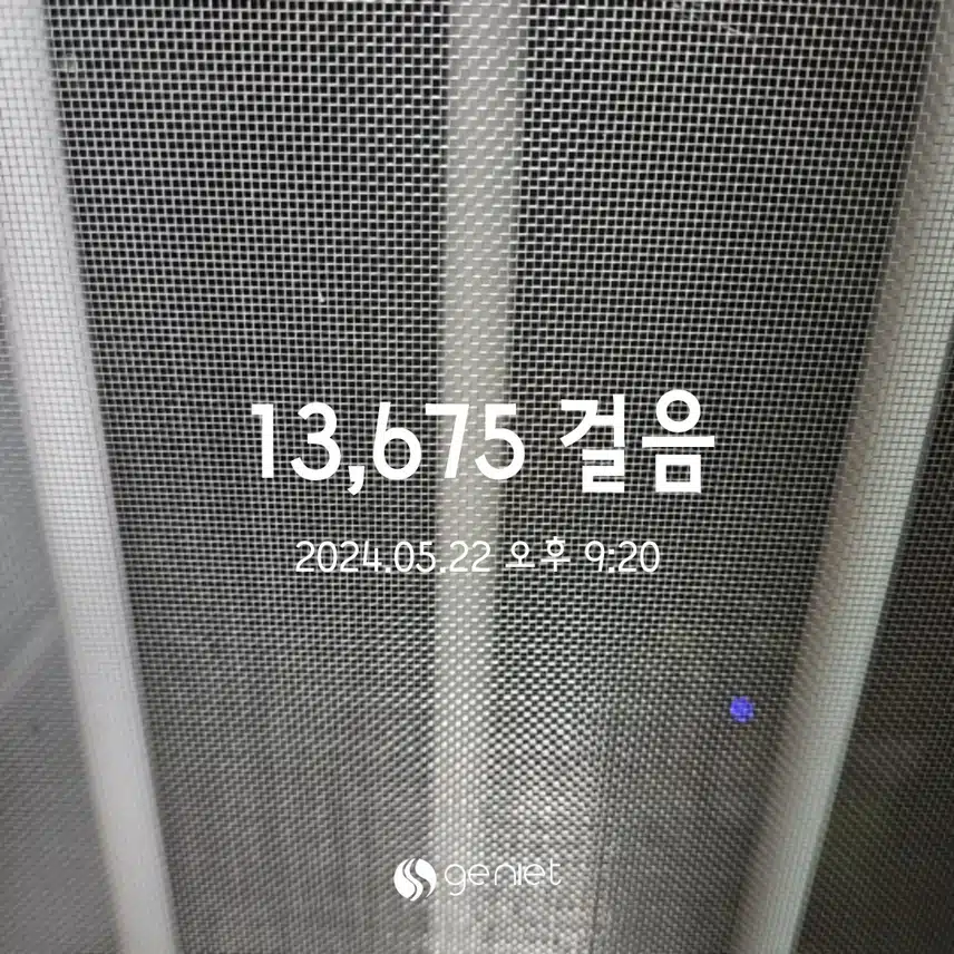 건강한 운동_걷기 ing